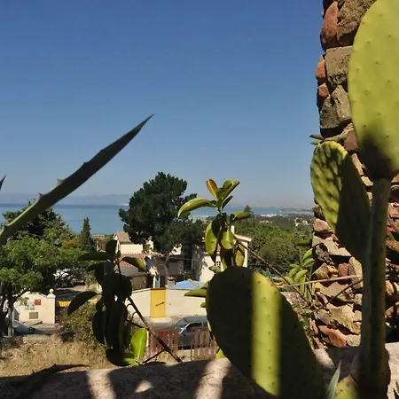 Eucalipti 1 Tatil Evi *