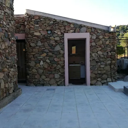 Eucalipti 1 * Капитана