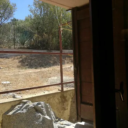 Eucalipti 1 Tatil Evi