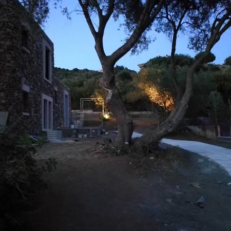 Nyaraló Eucalipti 1