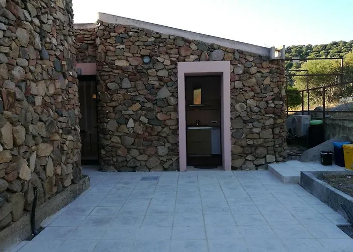 Eucalipti 1 * Capitana