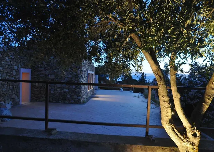 Eucalipti 1 Капитана