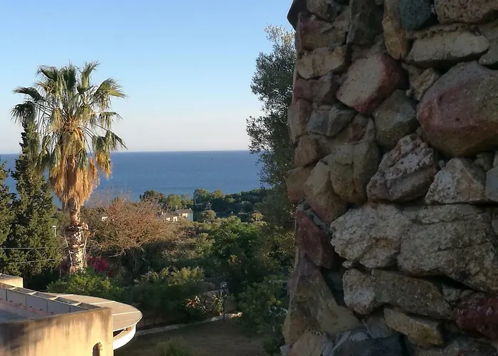 Eucalipti 1 Capitana