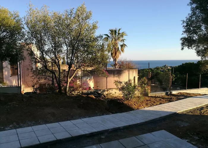 Eucalipti 1 Capitana