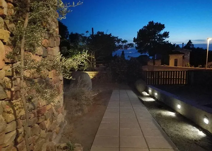 Eucalipti 1 * Капитана