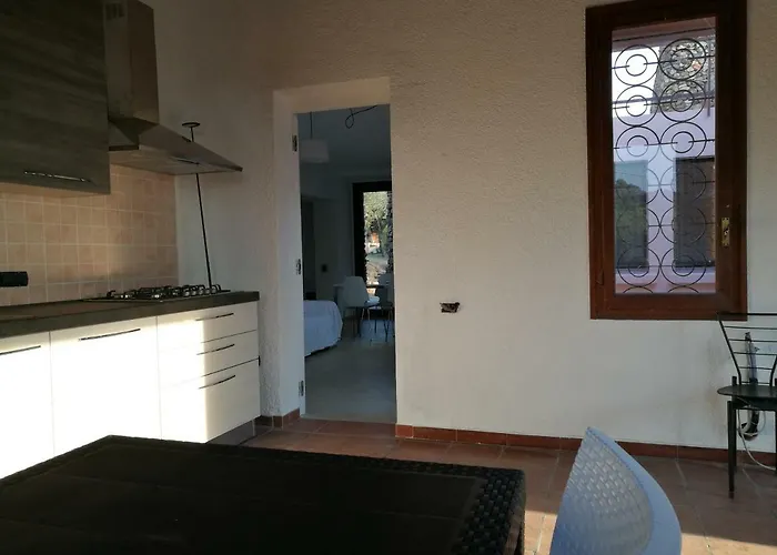 Eucalipti 1 Капитана