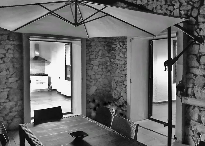 Eucalipti 1 * Капитана