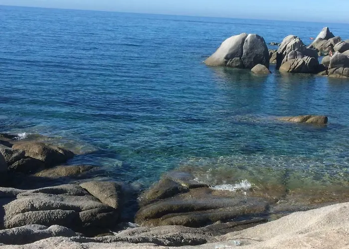 Eucalipti 1 * Капитана