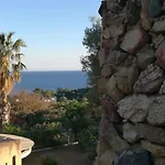 Eucalipti 1 Capitana