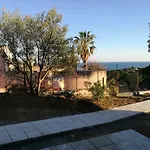 Eucalipti 1 Capitana