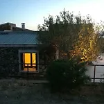 Eucalipti 1 *