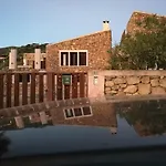Eucalipti 1