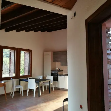 Eucalipti 1 Capitana