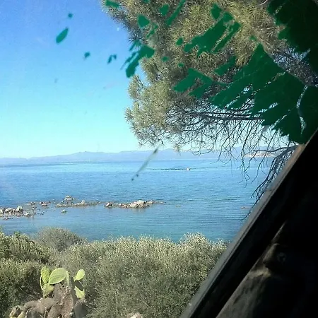 Eucalipti 1 * Capitana