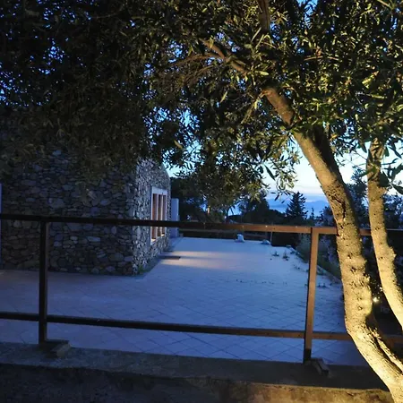 Eucalipti 1 Capitana