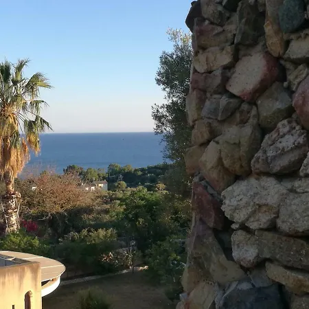 Eucalipti 1 Capitana