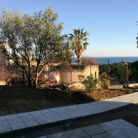 Eucalipti 1 Capitana