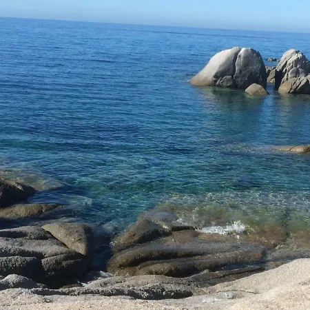 Eucalipti 1 * Capitana