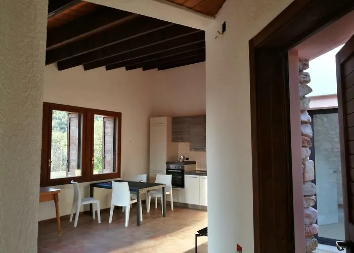 Eucalipti 1 Капитана